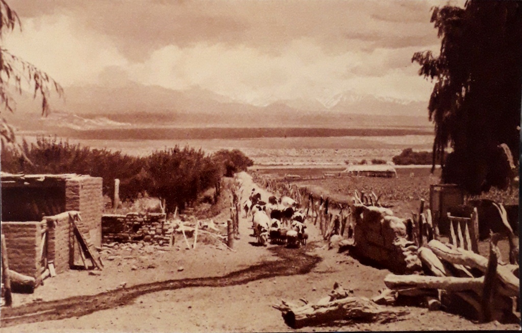 barrela