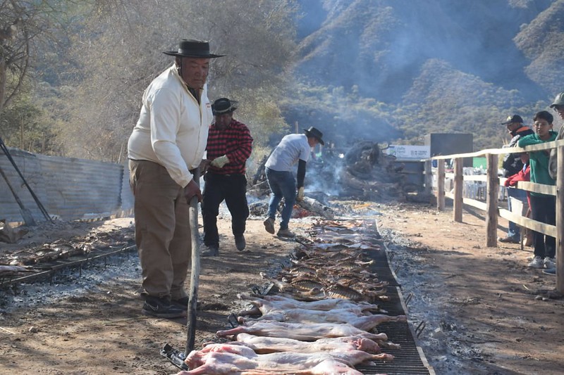 chivo